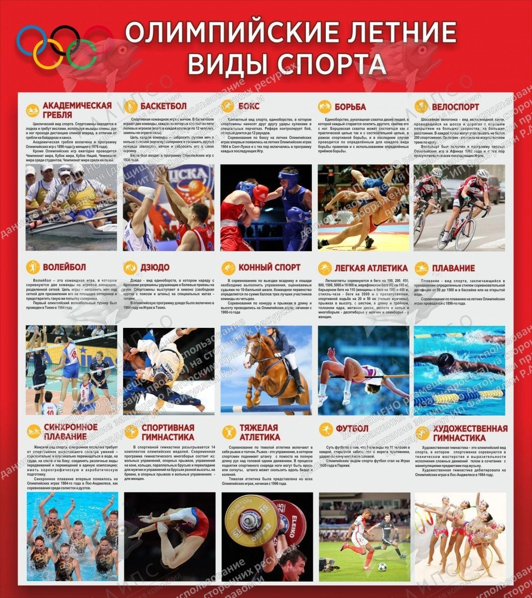 картинки Зимние Олимпийские игры для детей